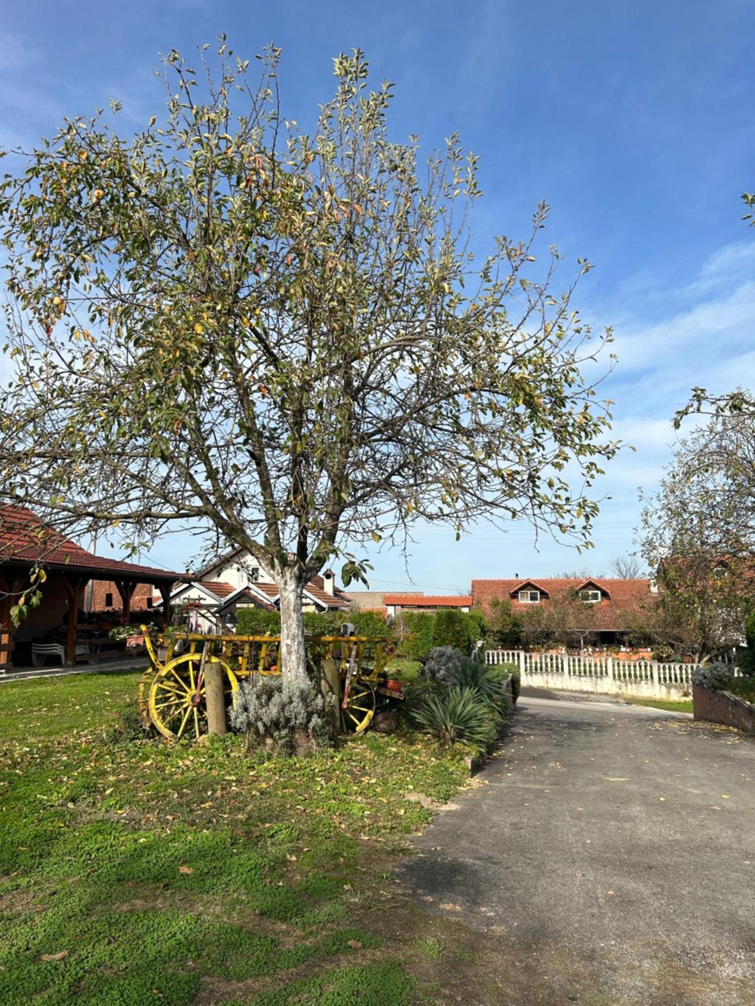 B&B Lukac Kutina Exterior photo